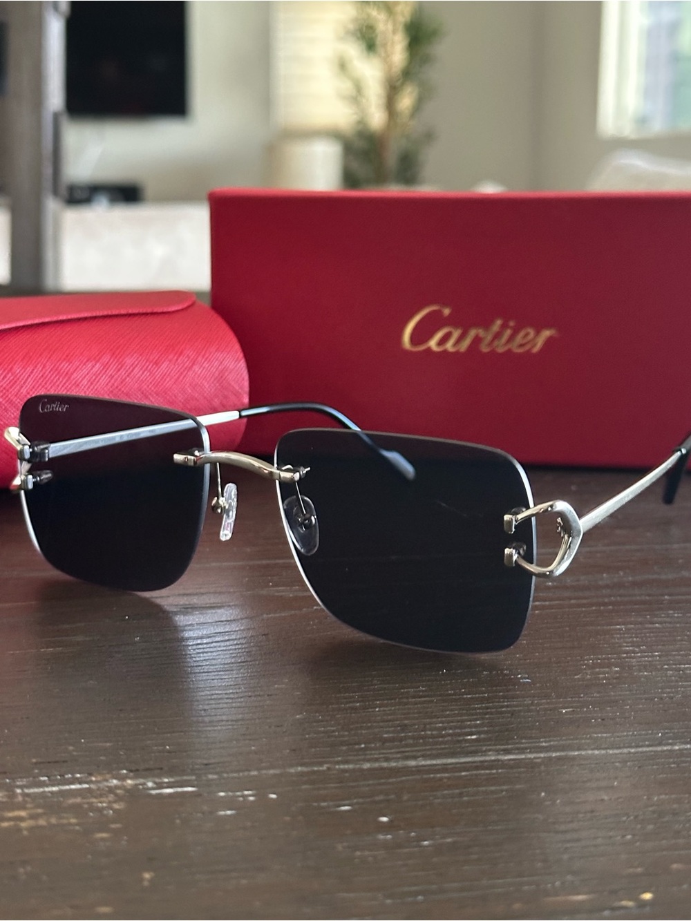 Cartier Men’s Rimless Sunglasses in Black and Silver